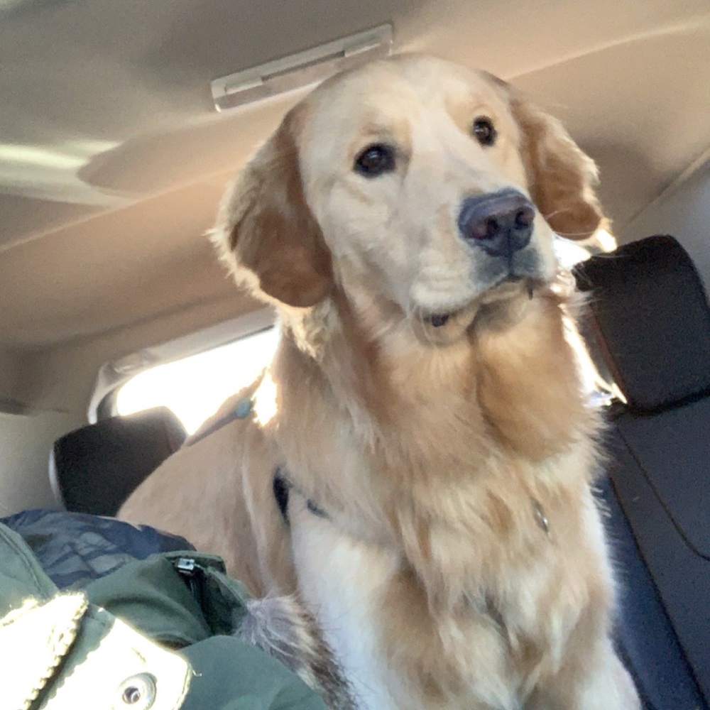 Meet your Posher, Laura